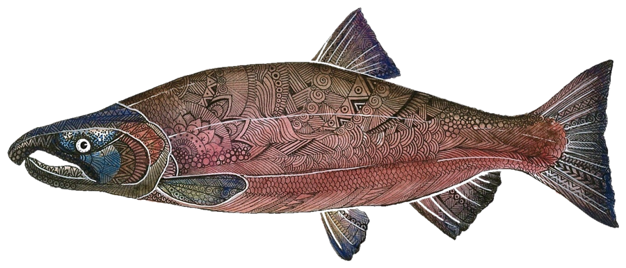 Illustration of a coho salmon drifting past a soft bead
